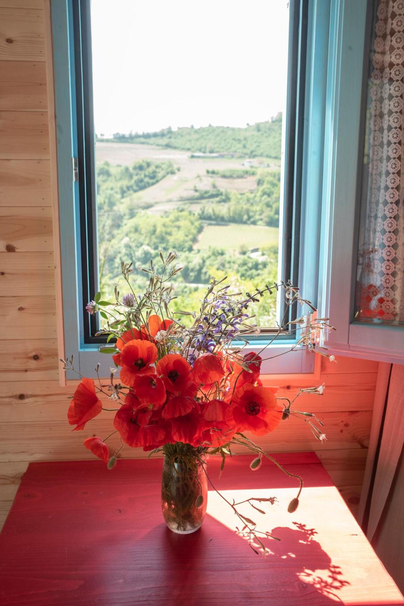 Agriturismo La Rovere - I Carrozzoni Gitani Cossano Belbo 外观 照片